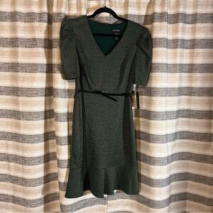 Enfocus‎ Studio Green And Gold Shimmer Belted Dress Size 6